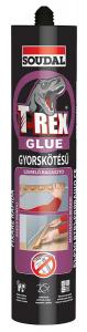 Etansanti si adezivi - Adeziv Soudal T REX Rapid Solvent 380 g